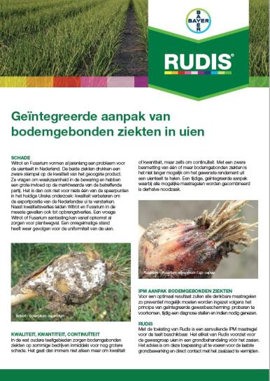Rudis in Uien leaflet